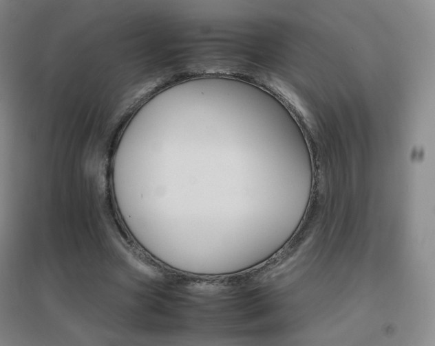 X0000096700537200802051413