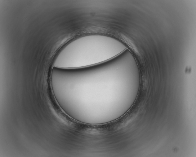 X0000096700538200802051413