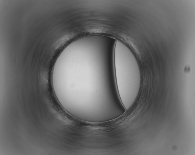 X0000096700539200802051413