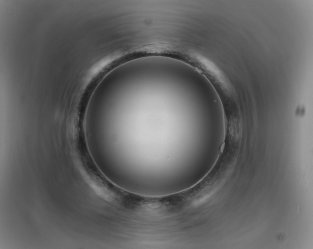 X0000096700540200802051413
