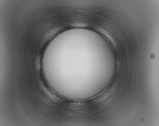 X0000096700541200802051413