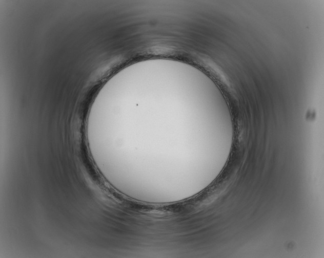 X0000096700542200802051413
