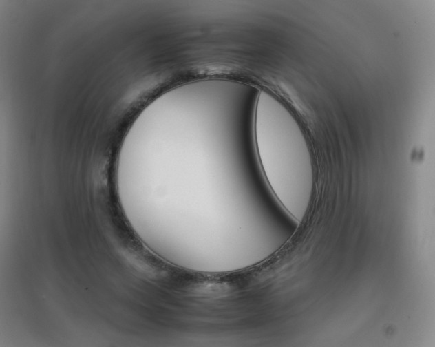 X0000096700543200802051413