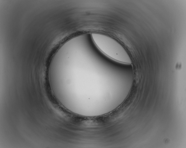 X0000096700544200802051413