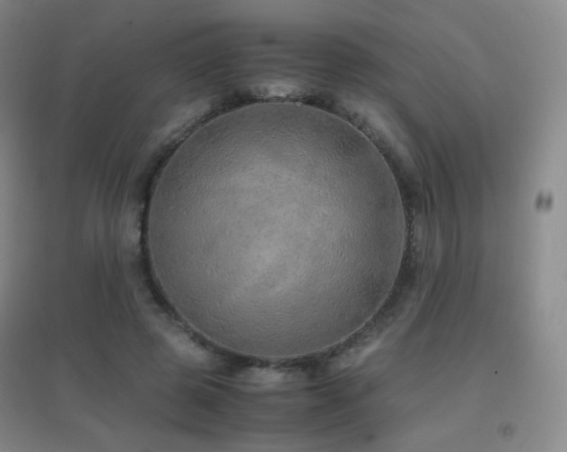 X0000096700545200802051413