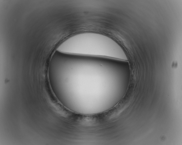 X0000096700546200802051413