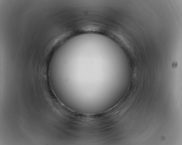 X0000096700547200802051413