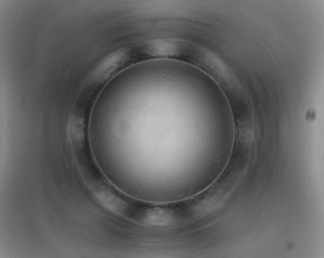 X0000096700549200802051413