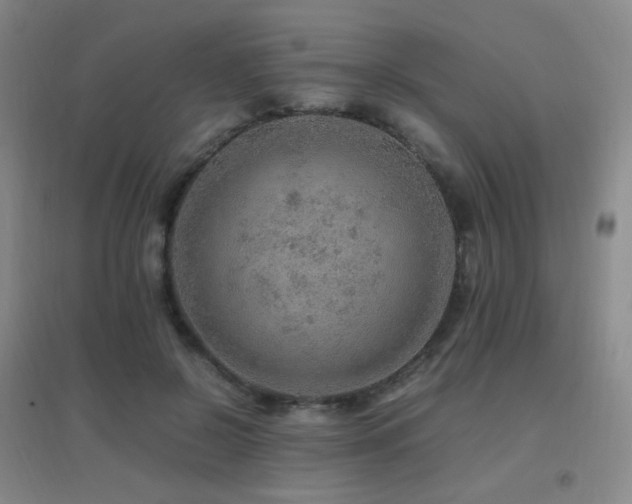 X0000096700550200802051413