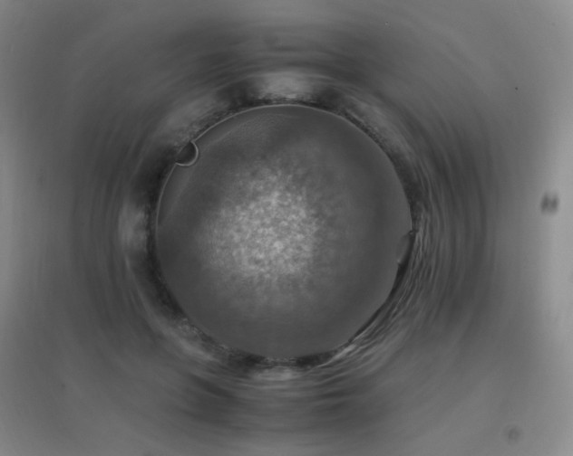 X0000096700551200802051413