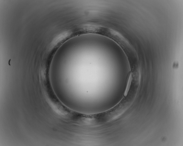 X0000096700552200802051413