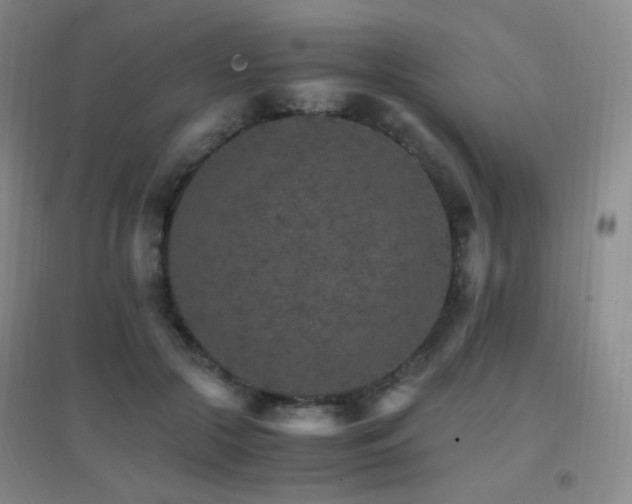 X0000096700553200802051413