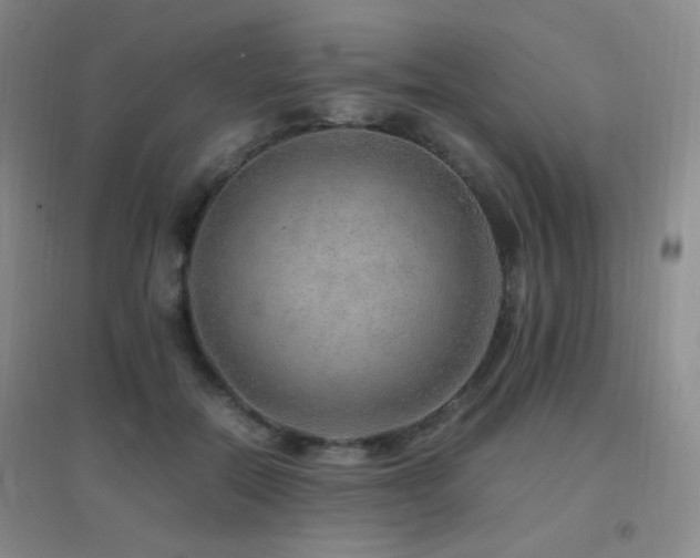 X0000096700554200802051413