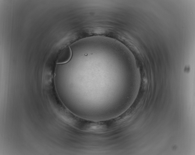 X0000096700555200802051413