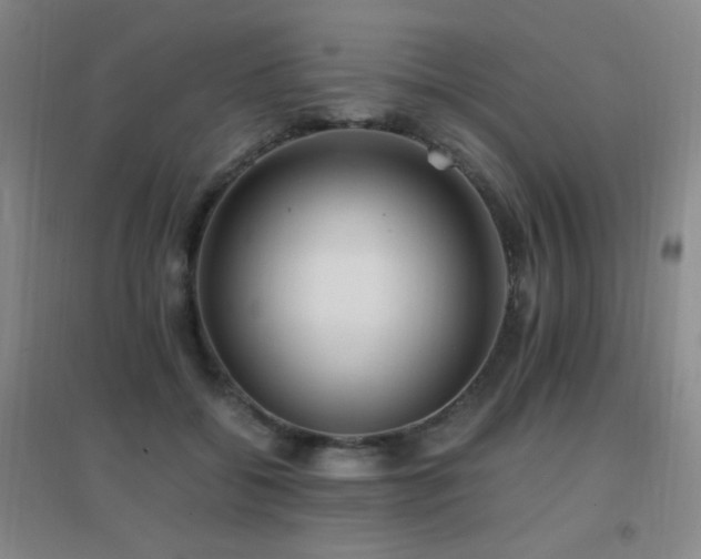 X0000096700556200802051413