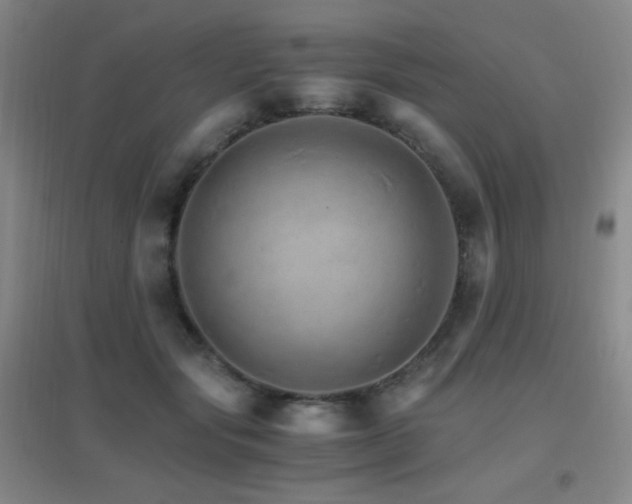 X0000096700557200802051413