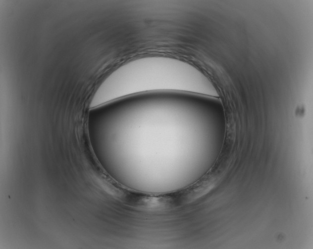 X0000096700558200802051413