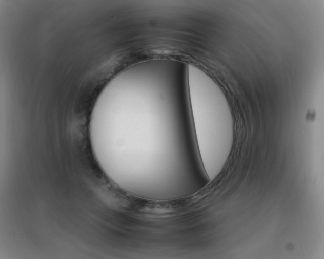 X0000096700559200802051414