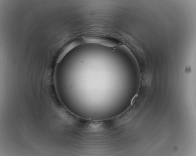 X0000096700560200802051414