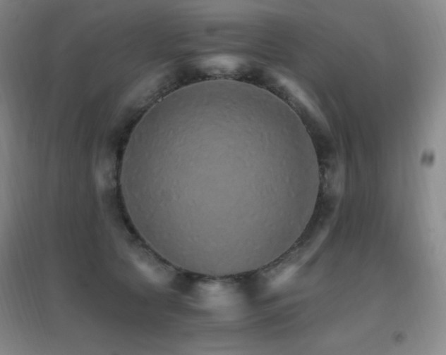 X0000096700561200802051414