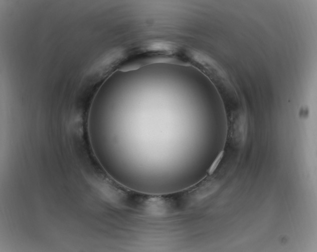 X0000096700562200802051414