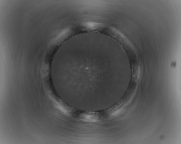 X0000096700563200802051414