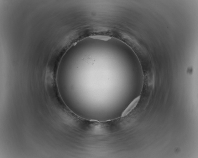 X0000096700564200802051414