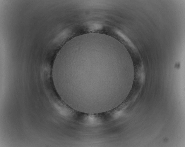 X0000096700565200802051414