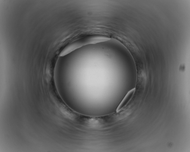 X0000096700566200802051414