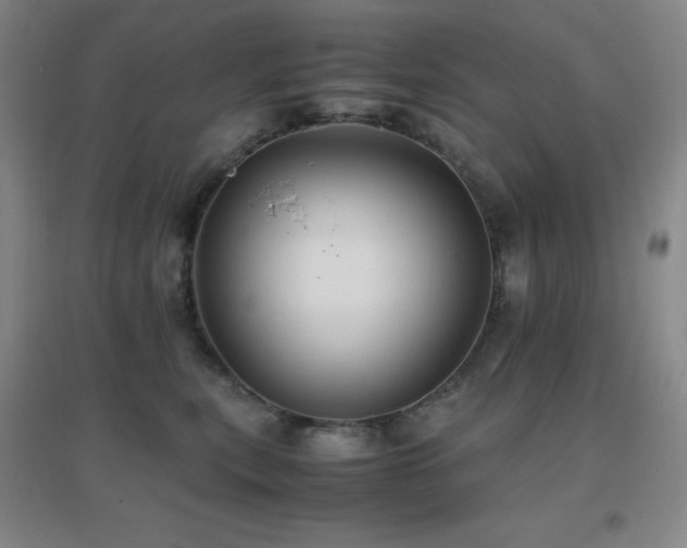 X0000096700567200802051414