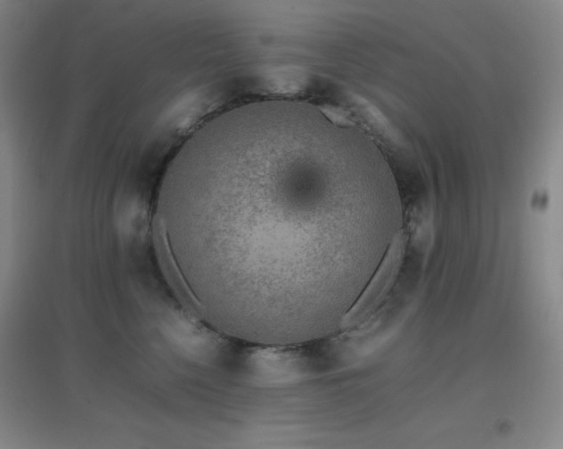 X0000096700568200802051414