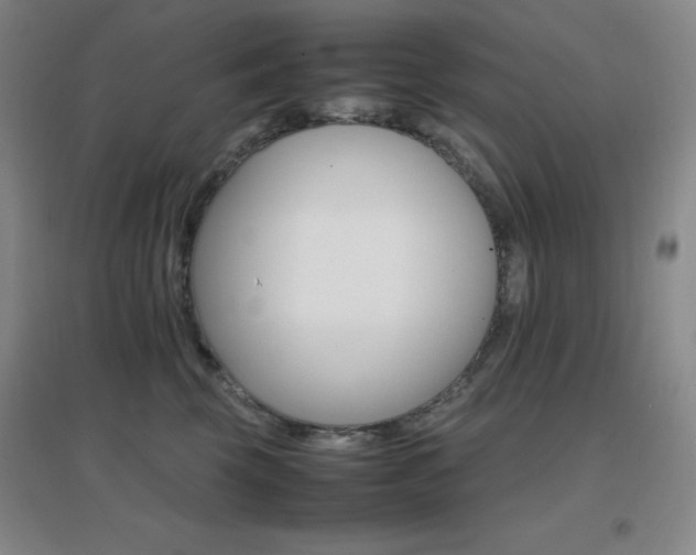 X0000096700569200802051414