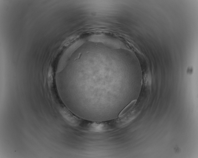 X0000096700570200802051414