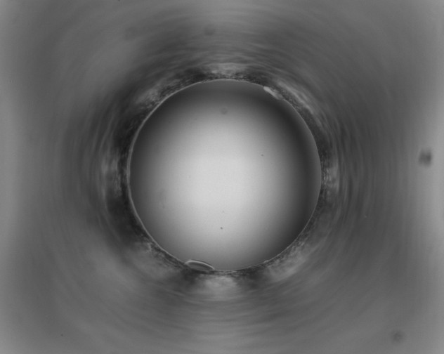 X0000096700572200802051414