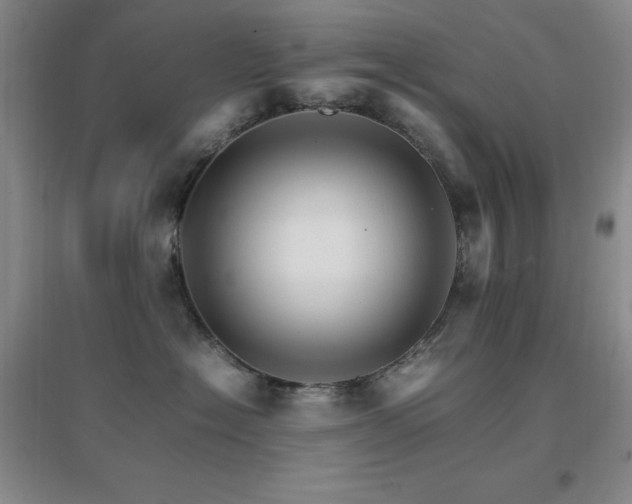 X0000096700574200802051414