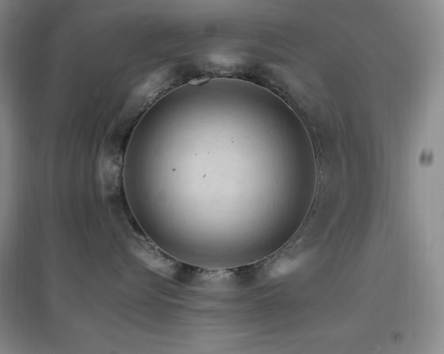 X0000096700576200802051414