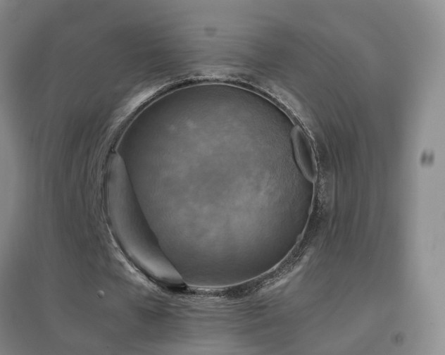 X0000096700577200802051413