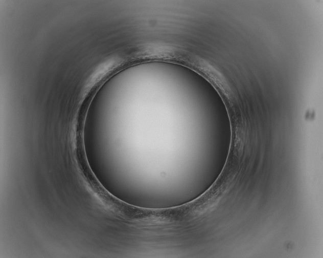 X0000096700578200802051413
