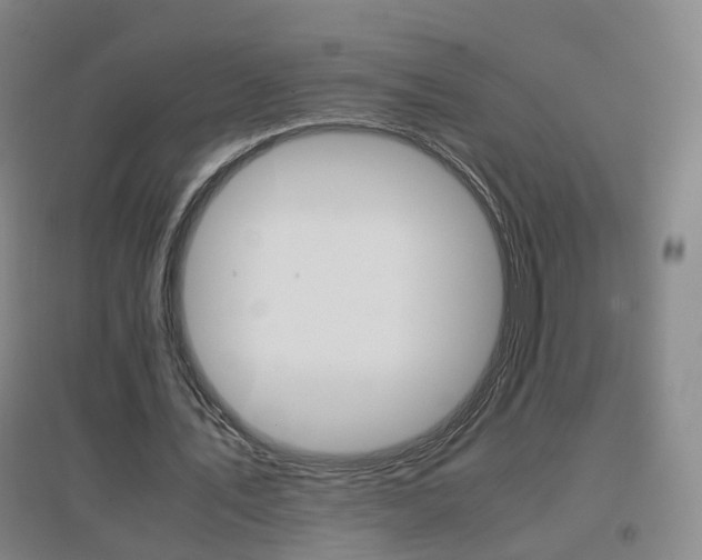 X0000096700579200802051413