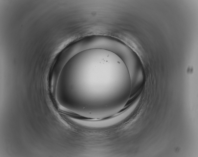 X0000096700581200802051413
