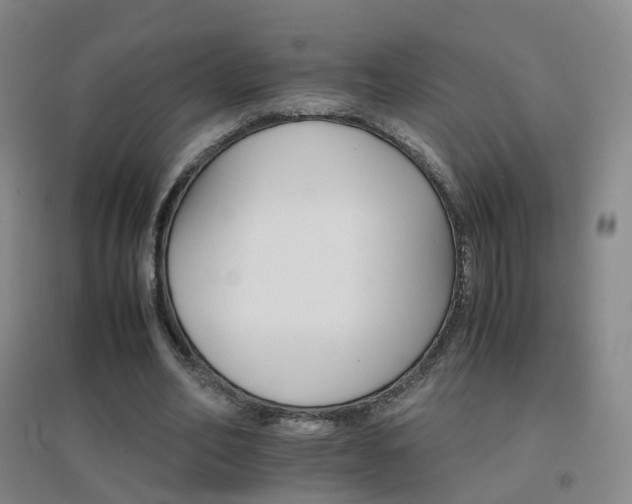 X0000096700582200802051413