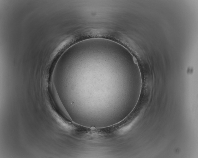 X0000096700585200802051413