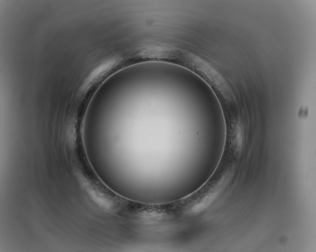 X0000096700586200802051413