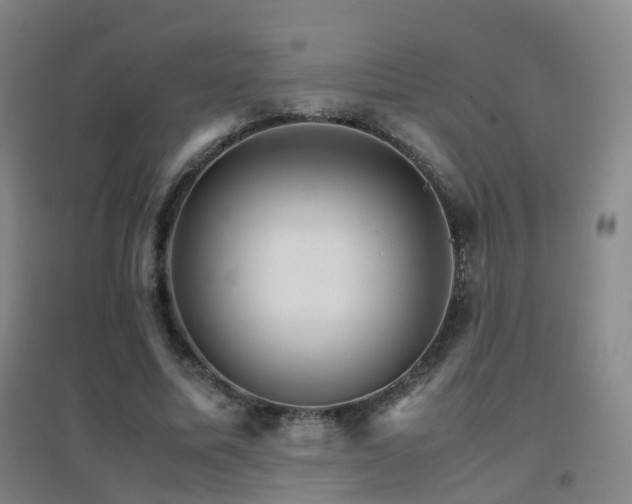 X0000096700587200802051413