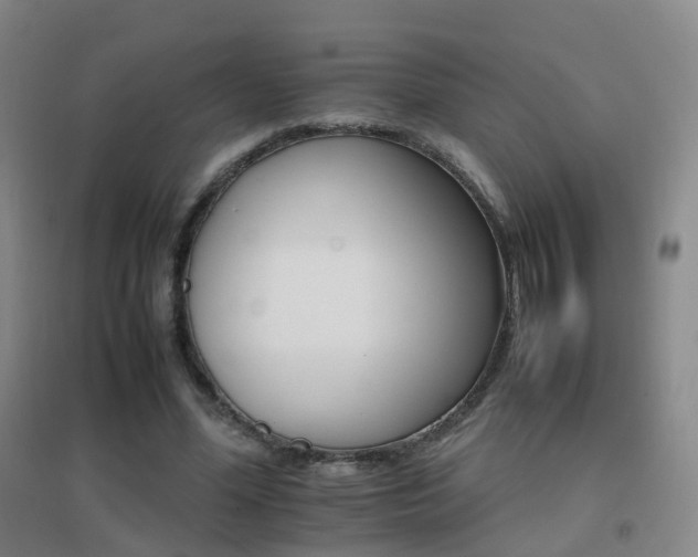 X0000096700588200802051413