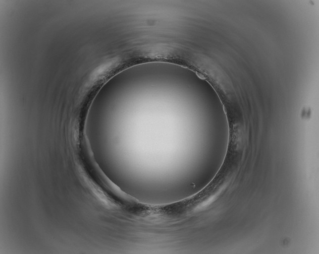 X0000096700589200802051413