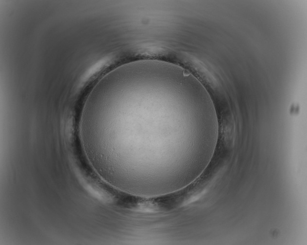 X0000096700591200802051413
