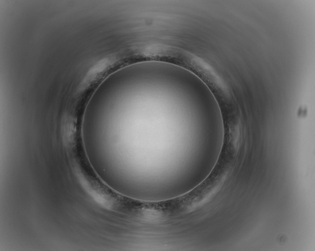 X0000096700592200802051413