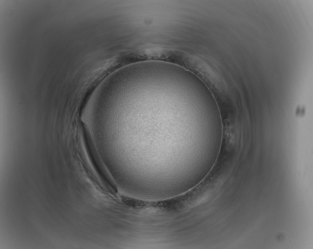 X0000096700593200802051413