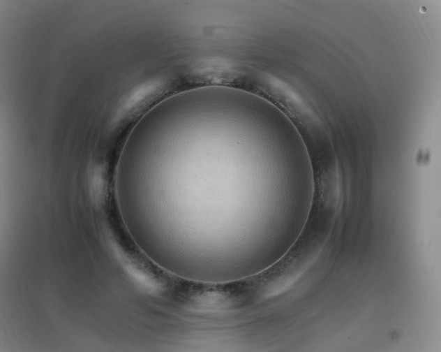 X0000096700594200802051413